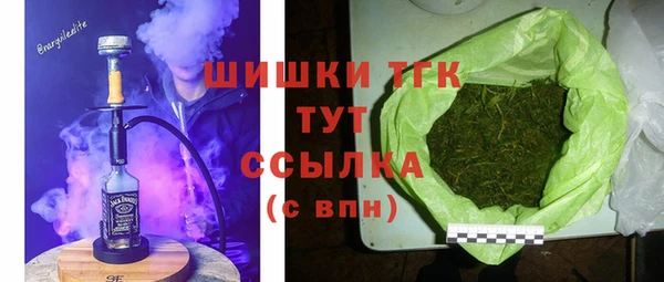СК Балахна