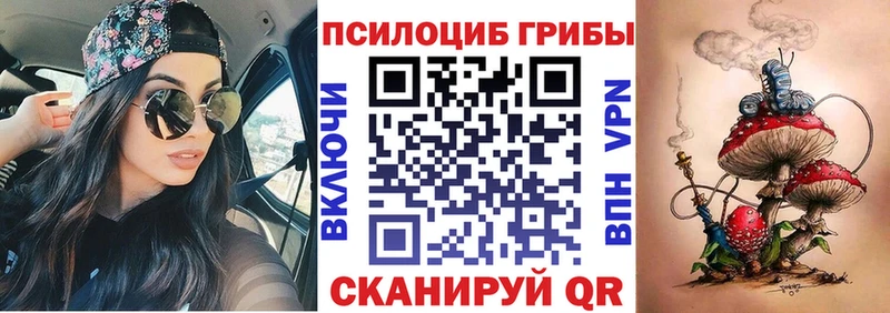 Псилоцибиновые грибы мухоморы  OMG зеркало  Петухово  магазин  наркотиков 