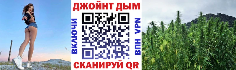 Шишки марихуана планчик  Петухово 